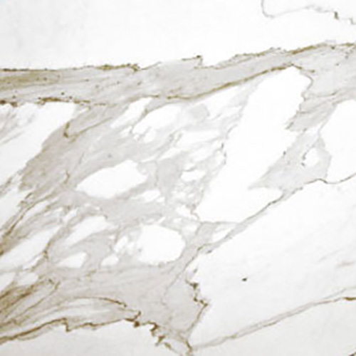 Mármores Calacatta Gold